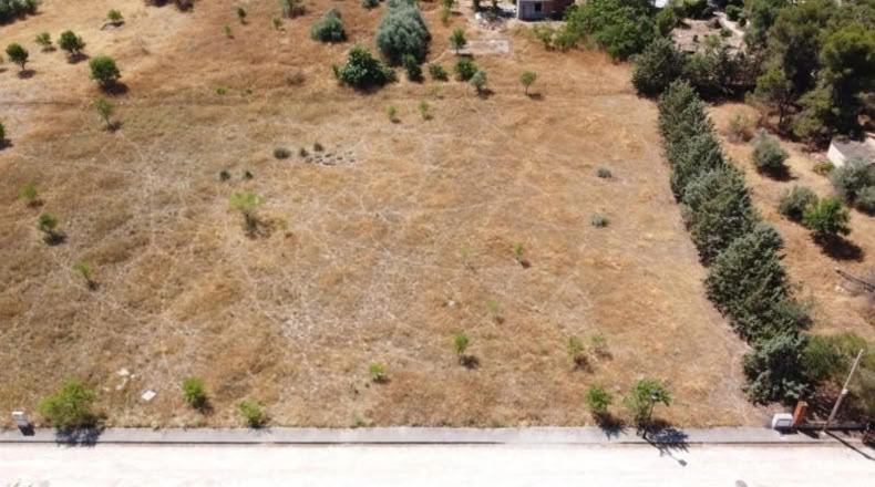 Comunidad de Madrid - Fuentidueña de Tajo - 2500m2