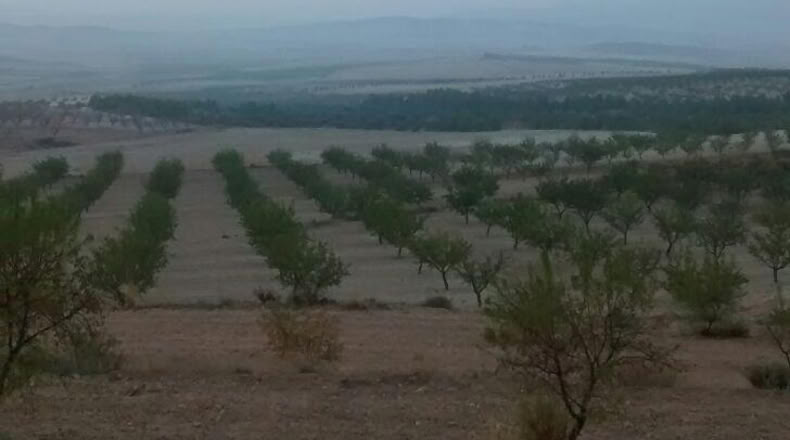 Murcia - Lorca - 41364m2