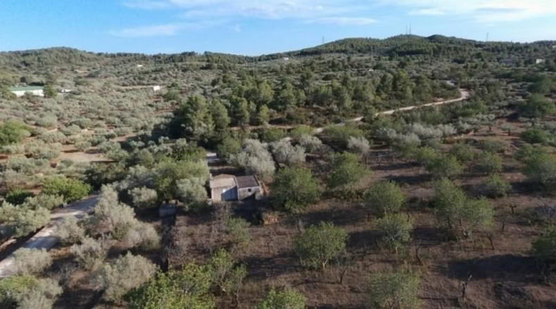Tarragona - el Perelló - 6500m2