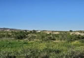 Terreny no urbanitzable en venda a la España, Múrcia, ref.: TR395221 foto
