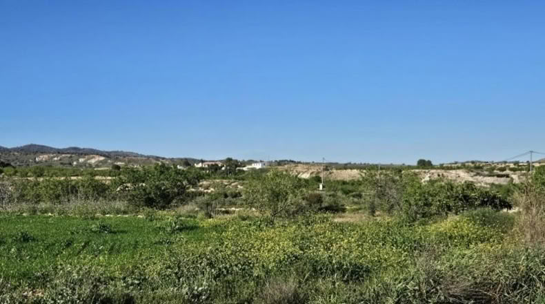 Murcia - Murcia - 16977m2