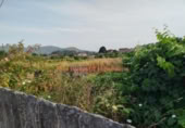 Участок с постройкой на продажу в городе Tomiño Фото