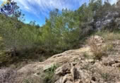 Land suitable for development for sale on España, Gilet, ref: TR222305 photo