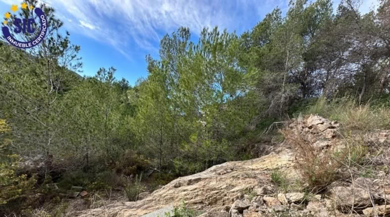 Valencia - Gilet - 608m2