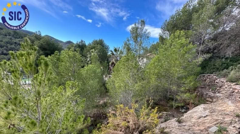 Valencia - Gilet - 608m2