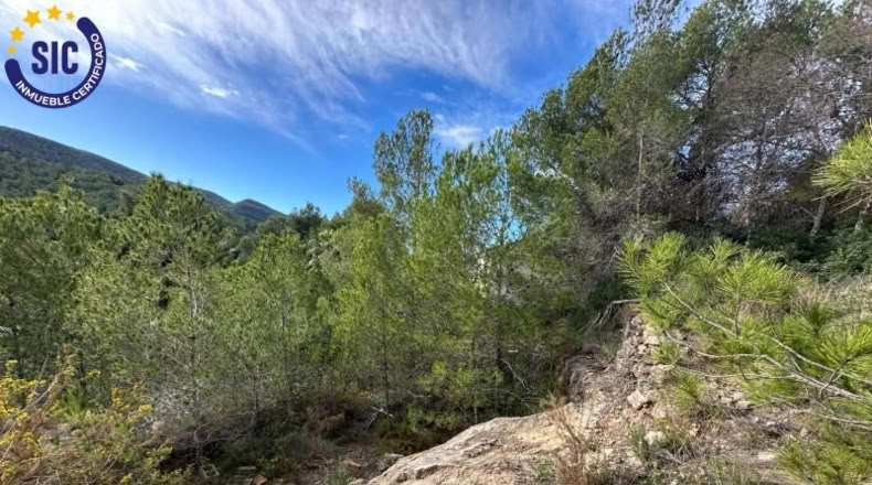 Valencia - Gilet - 608m2