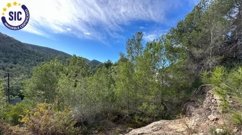Valencia - Gilet - 608m2