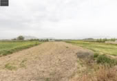 Non-developable land for sale on España, Santa Fe, ref: TR409477 photo
