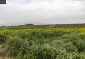 Non-developable land for sale on España, Santa Fe, ref: TR409477 photo