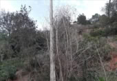 Sòl urbà en venda a la España, Torrelles de Llobregat, ref.: TR409479 foto