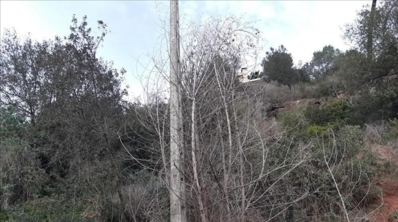 Barcelona - Torrelles de Llobregat - 829m2