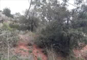 Sòl urbà en venda a la España, Torrelles de Llobregat, ref.: TR409479 foto