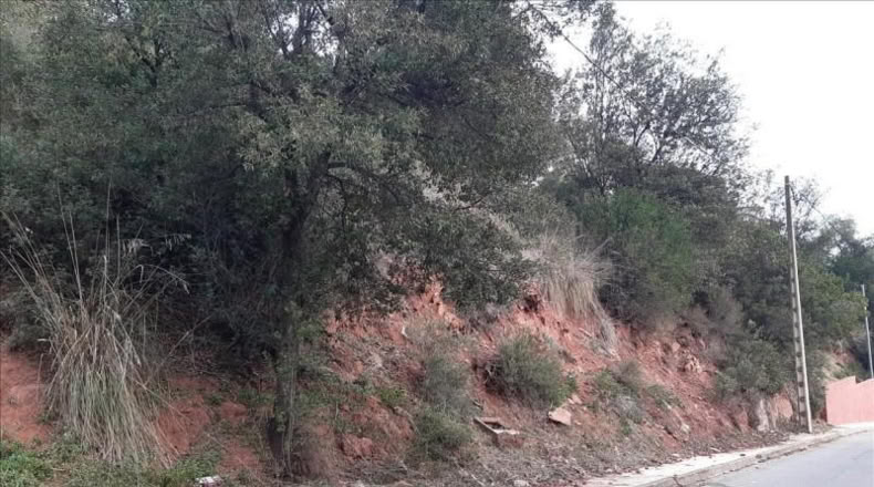 Barcelona - Torrelles de Llobregat - 829m2