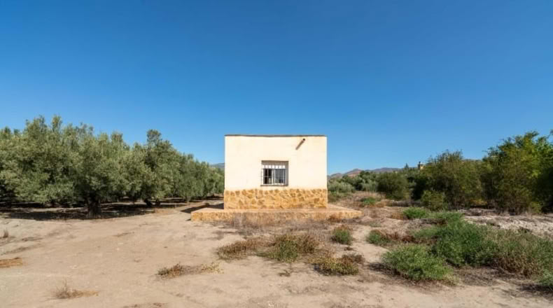 Almeria - Alsodux - 1950m2