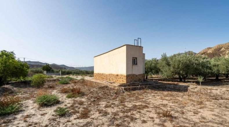 Almeria - Alsodux - 1950m2