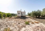 Casa amb terreny en venda a la España, Alsodux, ref.: TR167129 foto