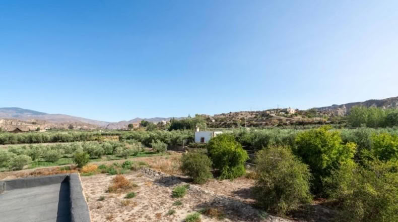 Almeria - Alsodux - 1950m2