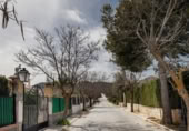 Terreny no urbanitzable en venda a la España, Padul, ref.: TR311139 foto
