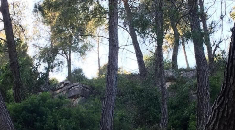 Barcelona - Vallirana - 800m2