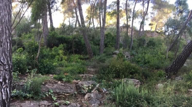 Barcelona - Vallirana - 800m2