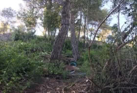 Foto 11