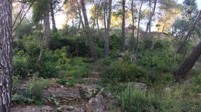 Barcelona - Vallirana - 800m2