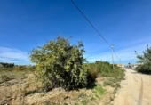 Casa de camp amb terreny en venda a la España, Múrcia, ref.: TR398756 foto