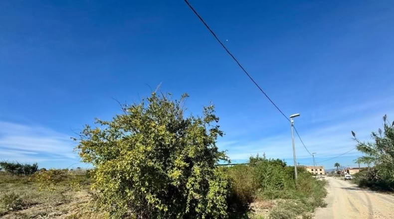 Murcia - Murcia - 2296m2