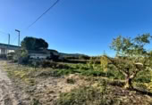 Casa de camp amb terreny en venda a la España, Múrcia, ref.: TR398756 foto