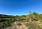 Casa de camp amb terreny en venda a la España, Múrcia, ref.: TR398756 foto