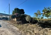 Casa de camp amb terreny en venda a la España, Múrcia, ref.: TR398756 foto