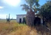 Terreny no urbanitzable en venda a la España, Los Palacios y Villafranca, ref.: TR409495 foto