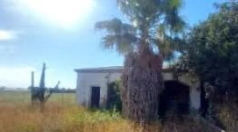 Sevilla - Los Palacios y Villafranca - 5947m2