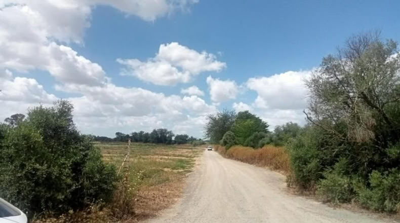 Seville - Dos Hermanas - 17600m2