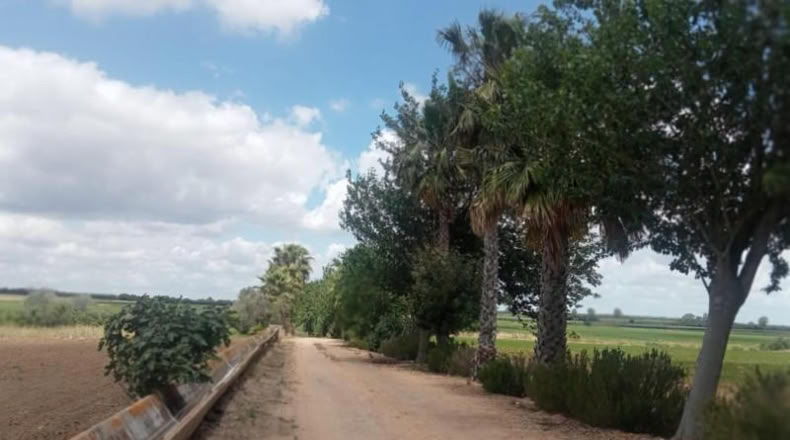 Seville - Dos Hermanas - 17600m2