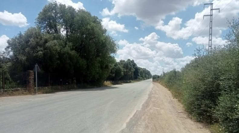 Seville - Dos Hermanas - 17600m2