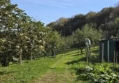 Non-developable land for sale on España, Pola de Siero, ref: TR351196 photo