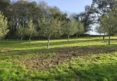 Non-developable land for sale on España, Pola de Siero, ref: TR351196 photo