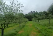 Non-developable land for sale on España, Pola de Siero, ref: TR351196 photo