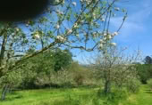 Non-developable land for sale on España, Pola de Siero, ref: TR351196 photo