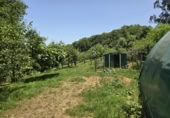 Non-developable land for sale on España, Pola de Siero, ref: TR351196 photo