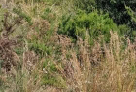 Foto 14