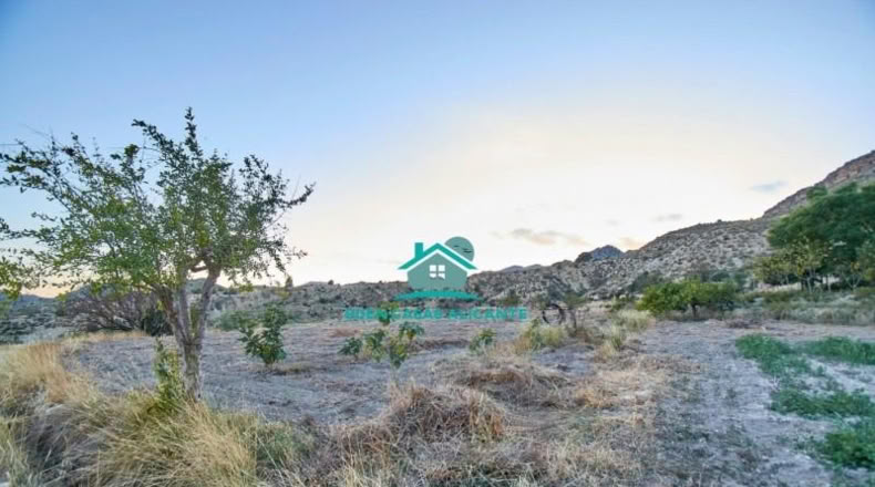 Аликанте - Jijona - 20000m2