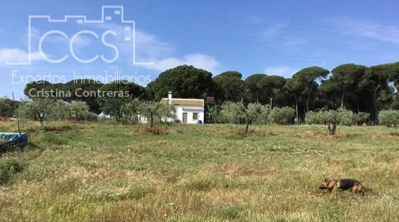 Huelva - Almonte - 10000m2