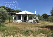 Отдельно стоящий дом с участком на продажу в городе Almonte Фото