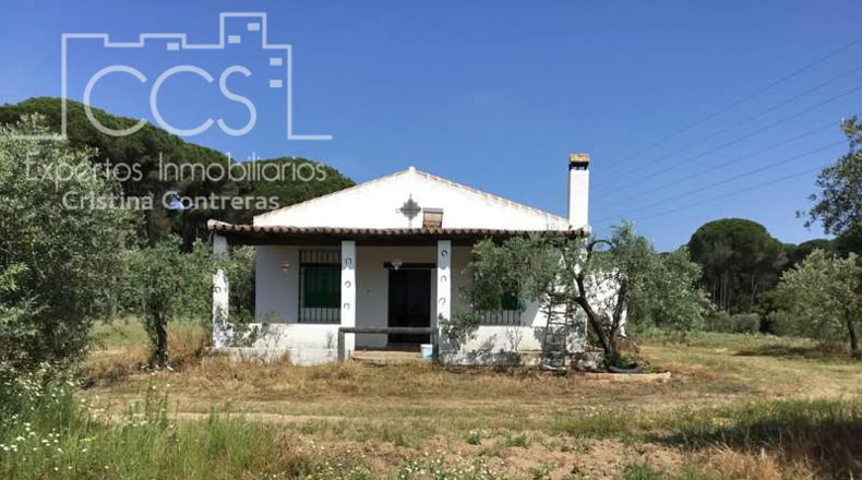 Huelva - Almonte - 10000m2