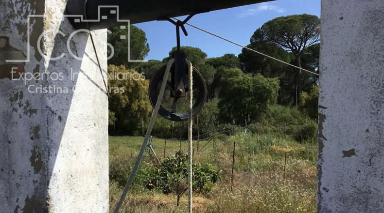 Huelva - Almonte - 10000m2