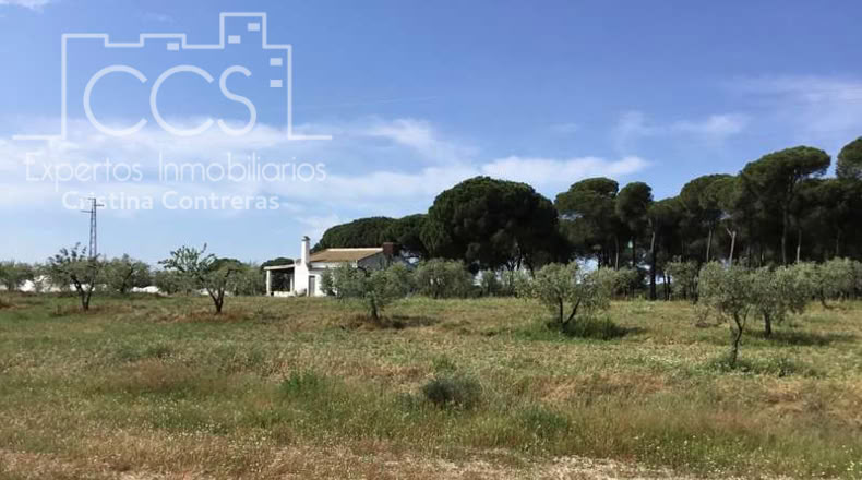 Huelva - Almonte - 10000m2