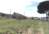 Отдельно стоящий дом с участком на продажу в городе Almonte Фото