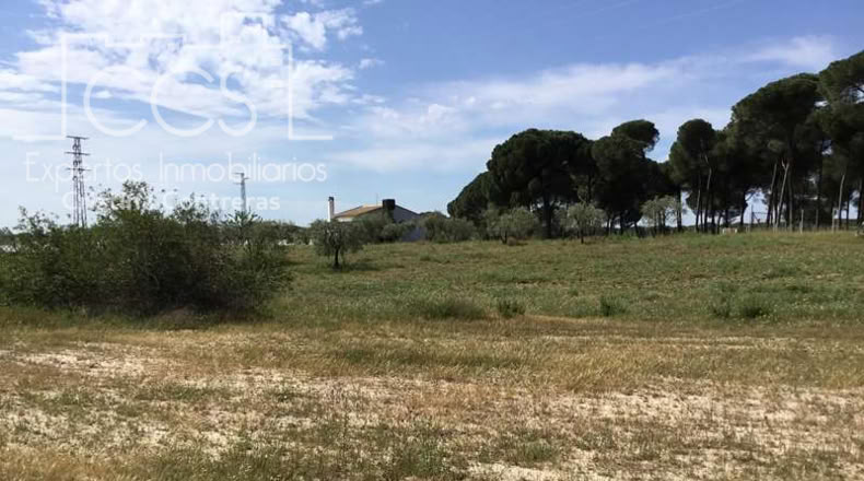 Huelva - Almonte - 10000m2